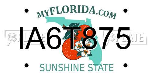 IA6T875 Florida License Plate