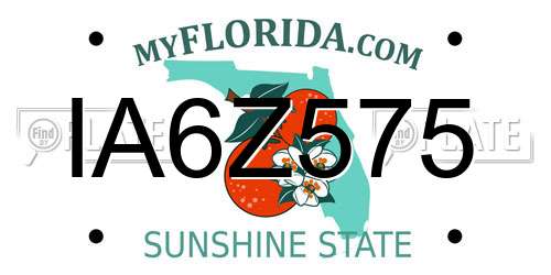 IA6Z575 Florida License Plate