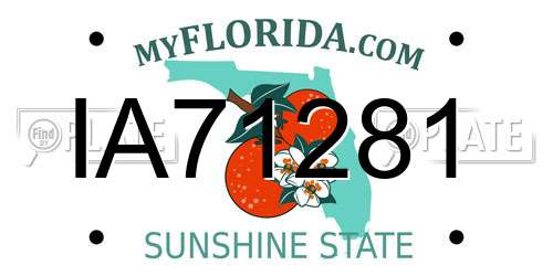 IA71281 Florida License Plate