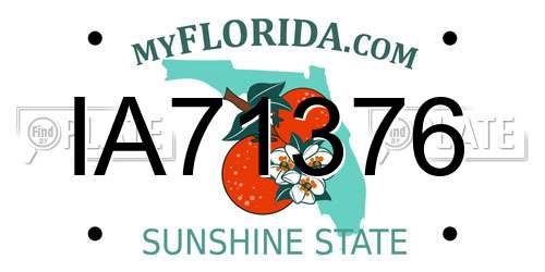 IA71376 Florida License Plate