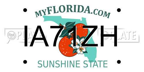 IA71ZH Florida License Plate