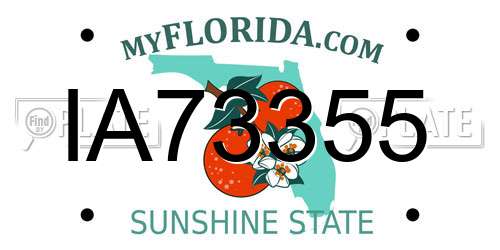 IA73355 Florida License Plate