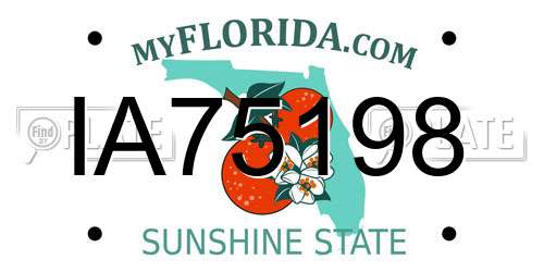 IA75198 Florida License Plate