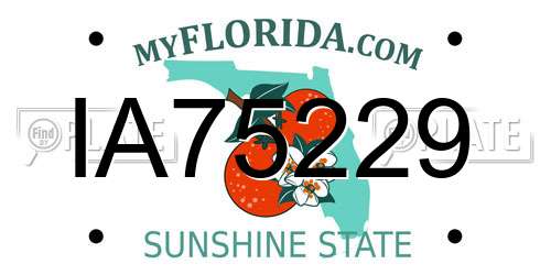 IA75229 Florida License Plate