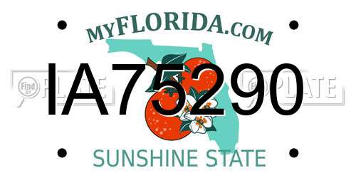 IA75290 Florida License Plate