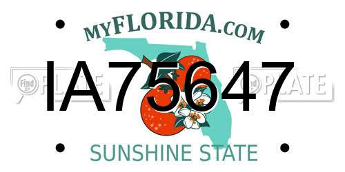 IA75647 Florida License Plate