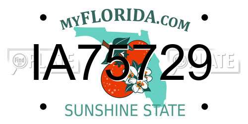 IA75729 Florida License Plate