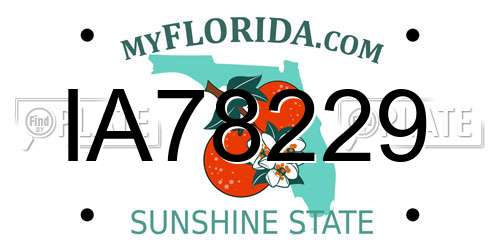 IA78229 Florida License Plate