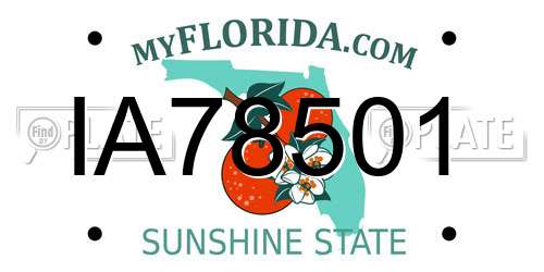 IA78501 Florida License Plate