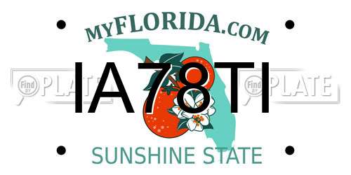 IA78TI Florida License Plate