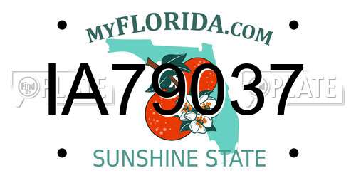 IA79037 Florida License Plate