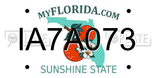 IA7A073 Florida License Plate