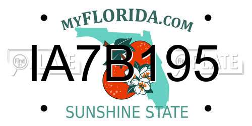 IA7B195 Florida License Plate