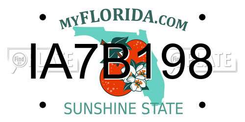IA7B198 Florida License Plate