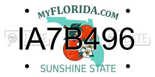 IA7B496 Florida License Plate