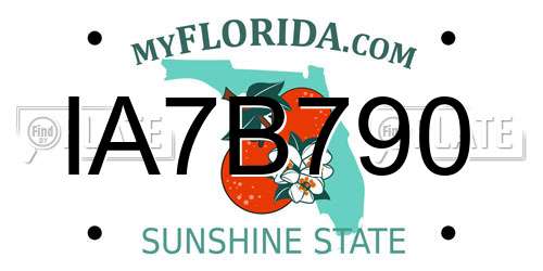 IA7B790 Florida License Plate