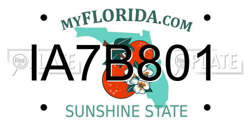 IA7B801 Florida License Plate