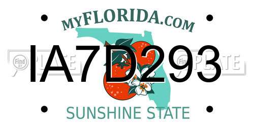 IA7D293 Florida License Plate