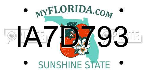 IA7D793 Florida License Plate