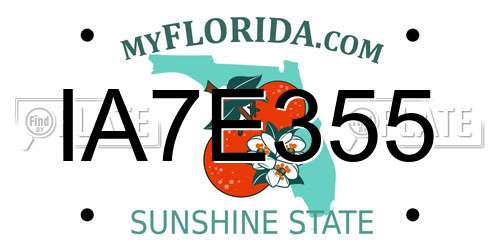 IA7E355 Florida License Plate