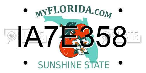 IA7E358 Florida License Plate