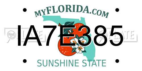 IA7E385 Florida License Plate