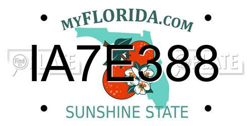 IA7E388 Florida License Plate