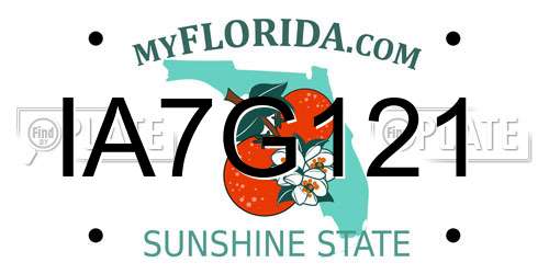 IA7G121 Florida License Plate