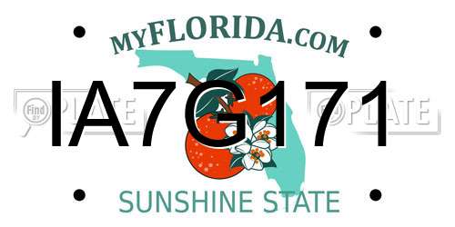 IA7G171 Florida License Plate