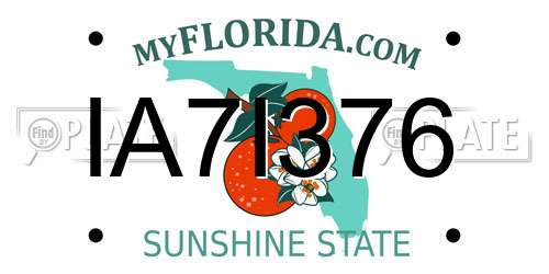 IA7I376 Florida License Plate