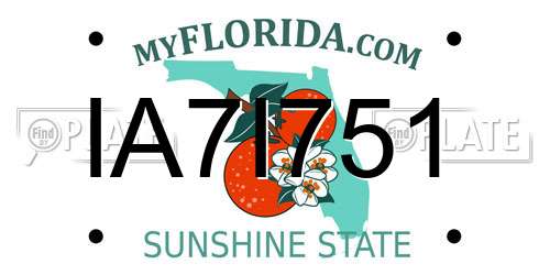 IA7I751 Florida License Plate