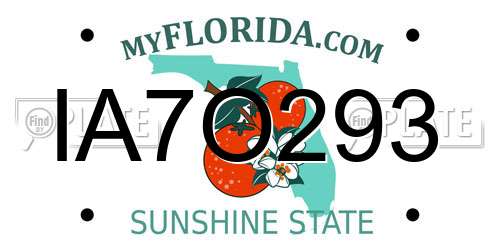 IA7O293 Florida License Plate