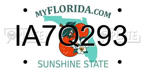 IA7Q293 Florida License Plate