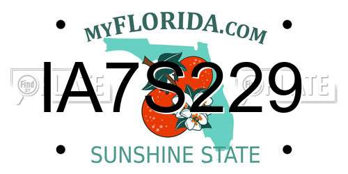 IA7S229 Florida License Plate