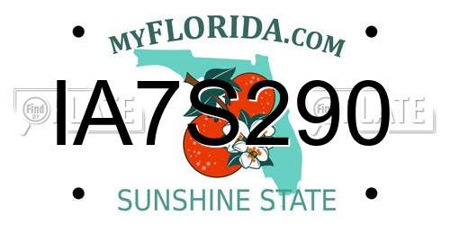 IA7S290 Florida License Plate
