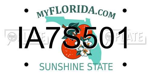 IA7S501 Florida License Plate