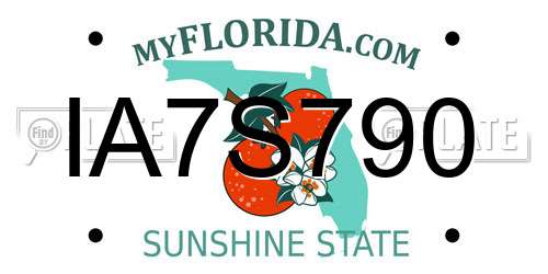 IA7S790 Florida License Plate