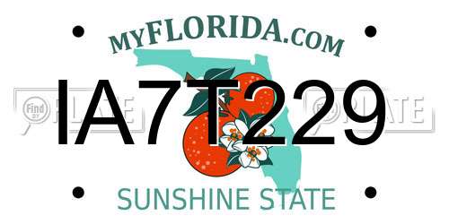 IA7T229 Florida License Plate