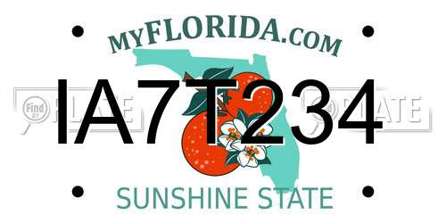 IA7T234 Florida License Plate
