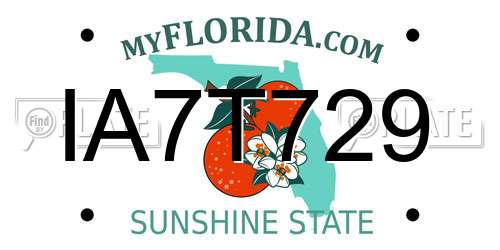 IA7T729 Florida License Plate