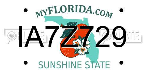 IA7Z729 Florida License Plate