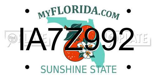 IA7Z992 Florida License Plate