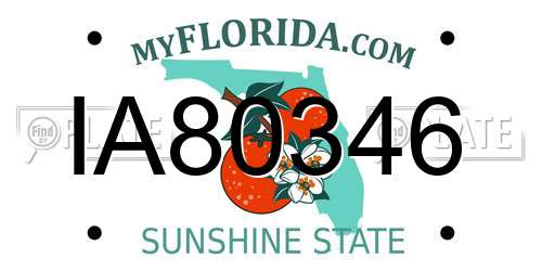 IA80346 Florida License Plate