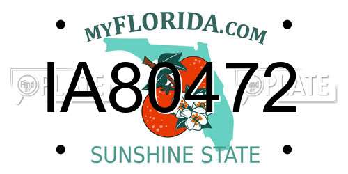 IA80472 Florida License Plate
