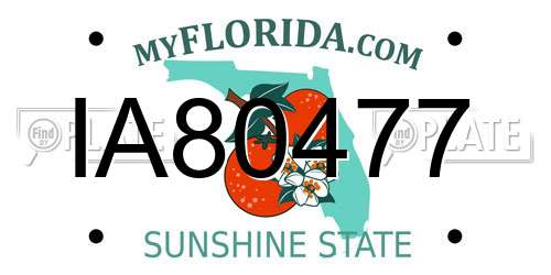 IA80477 Florida License Plate