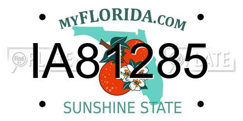 IA81285 Florida License Plate