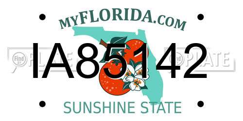 IA85142 Florida License Plate