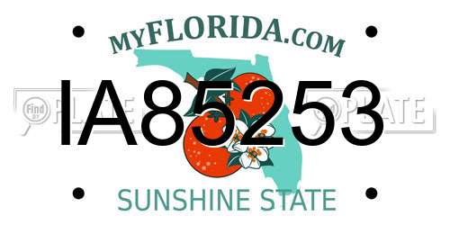 IA85253 Florida License Plate