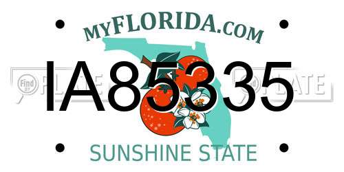 IA85335 Florida License Plate