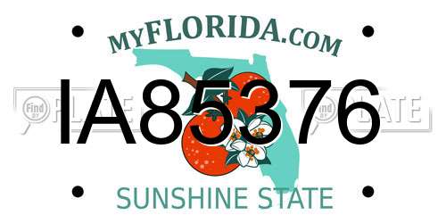 IA85376 Florida License Plate